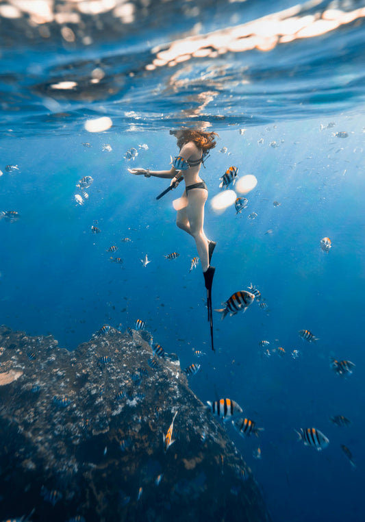 How We’re Restoring Reefs—One Coral at a Time